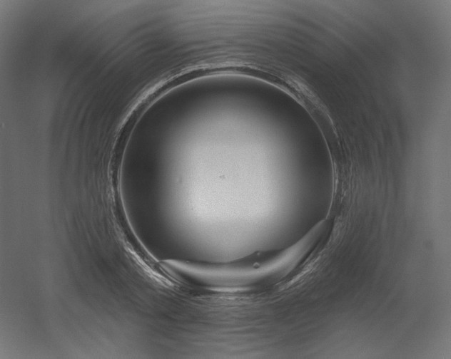 X0000052640789200507011345