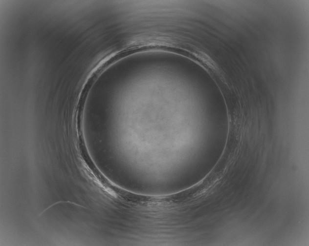 X0000052640790200507011345