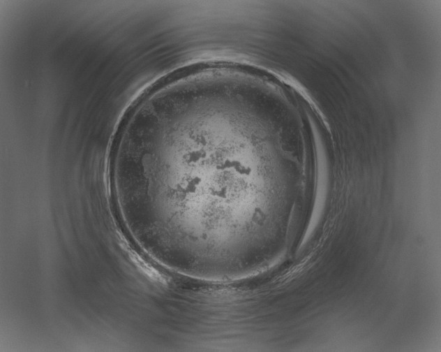 X0000052640791200507011345