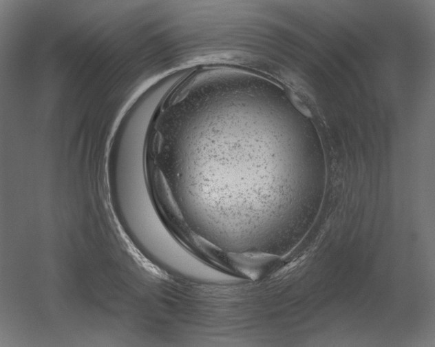 X0000052640792200507011345