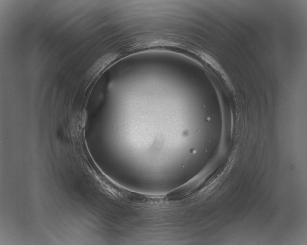 X0000052640793200507011345