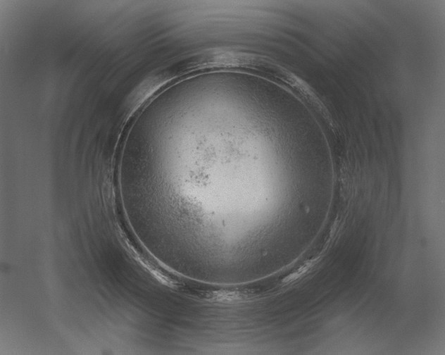 X0000052640794200507011345