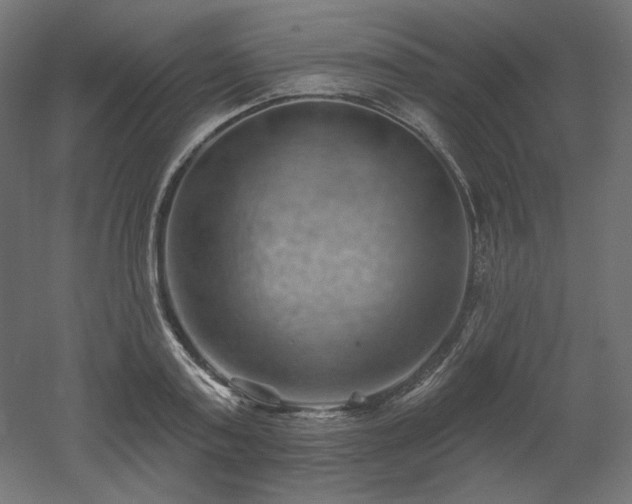 X0000052640795200507011345