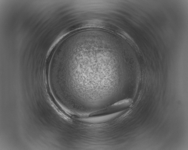 X0000052640796200507011345