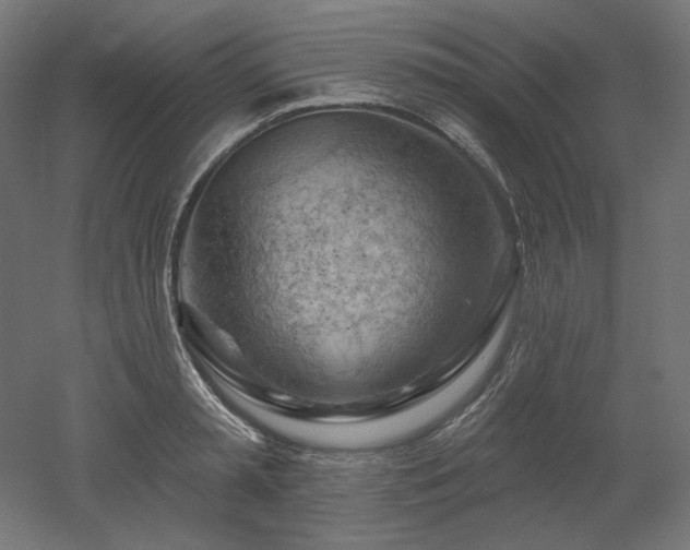 X0000052640797200507011345