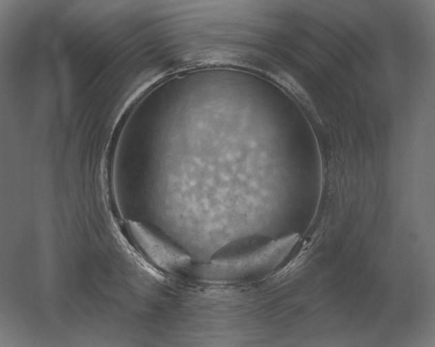 X0000052640798200507011345