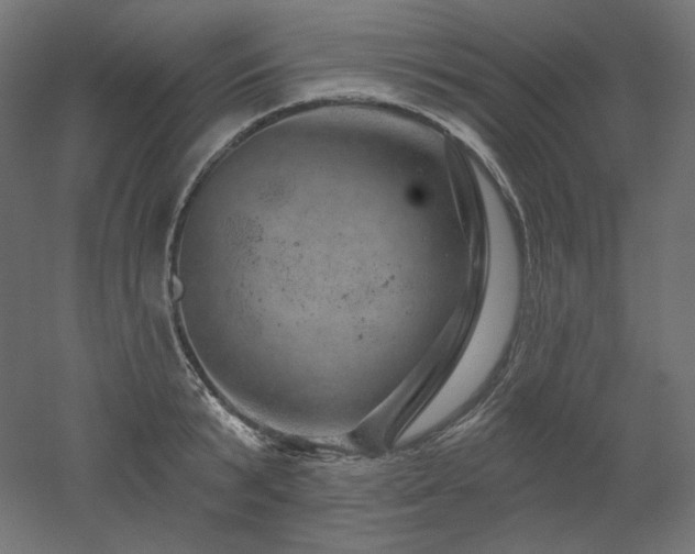 X0000052640799200507011345