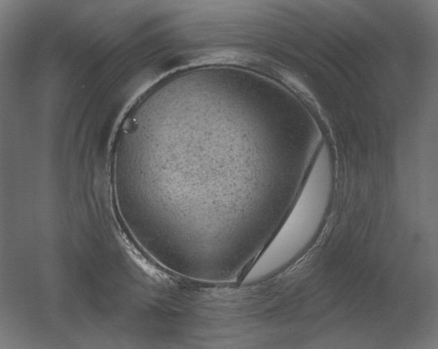 X0000052640800200507011345