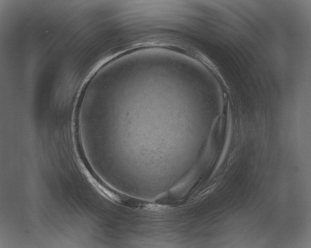 X0000052640803200507011345