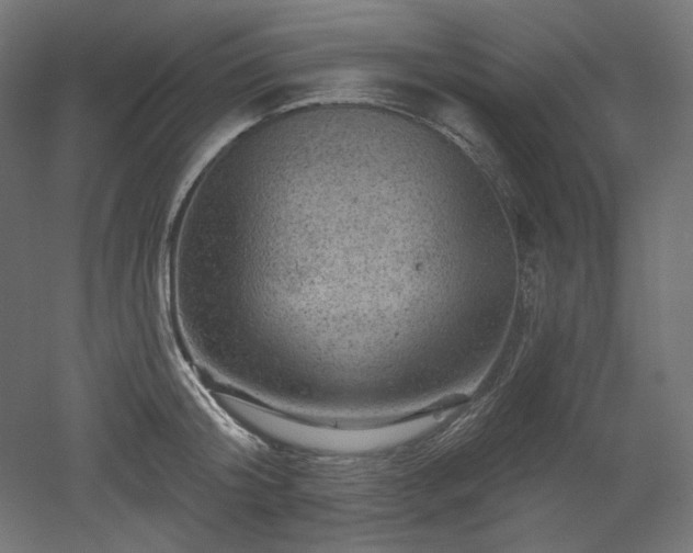 X0000052640804200507011345