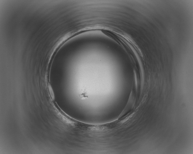 X0000052640805200507011345