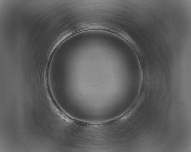 X0000052640806200507011345