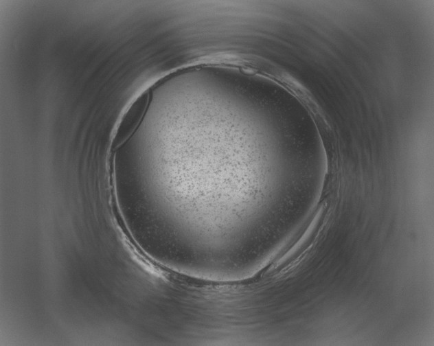 X0000052640808200507011345