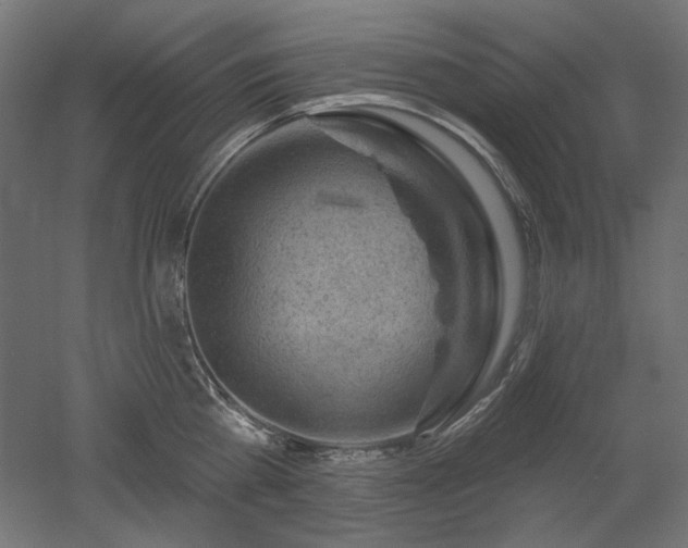 X0000052640809200507011345