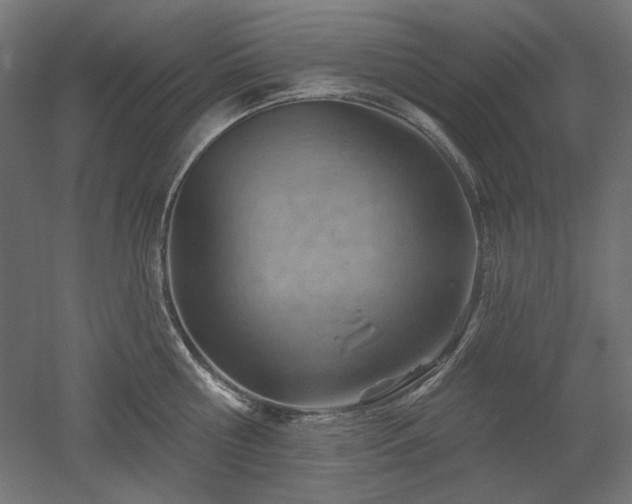 X0000052640810200507011345