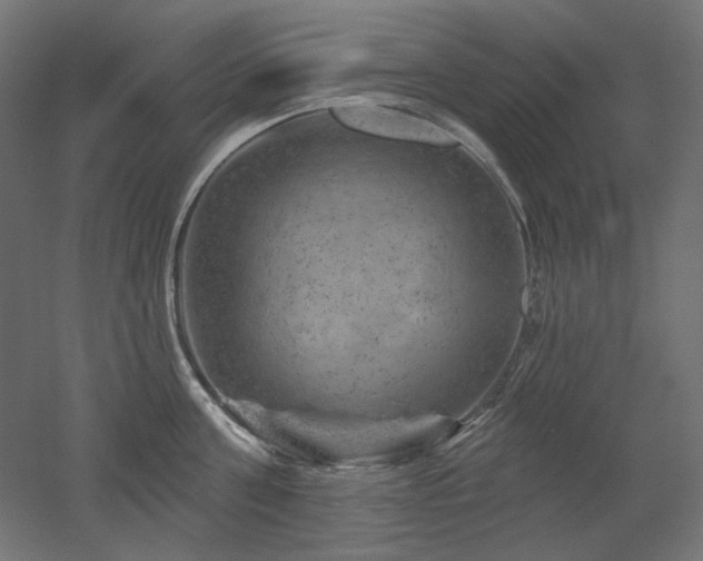 X0000052640811200507011344