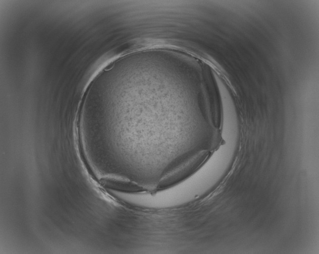 X0000052640814200507011344