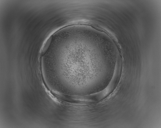 X0000052640816200507011344