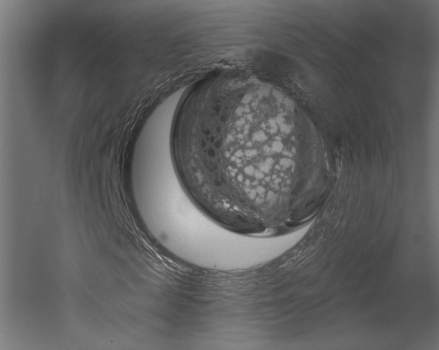 X0000052640817200507011344