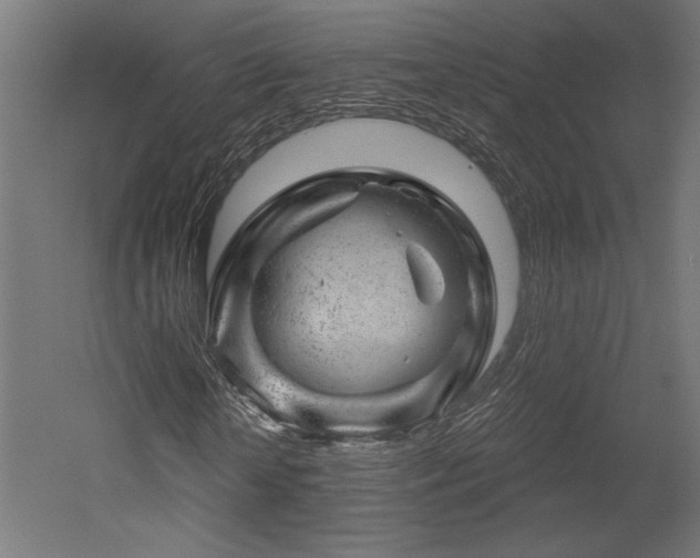 X0000052640818200507011344