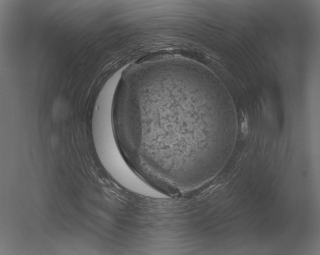 X0000052640819200507011344