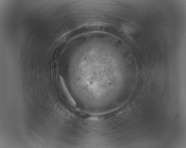 X0000052640821200507011344