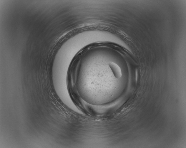 X0000052640822200507011344