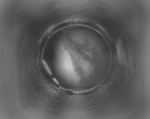 X0000052640823200507011344