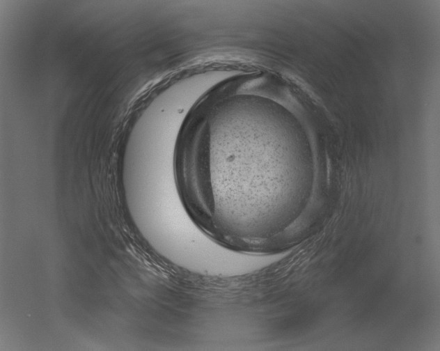 X0000052640824200507011344