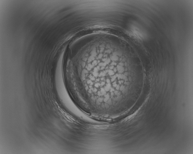 X0000052640825200507011344