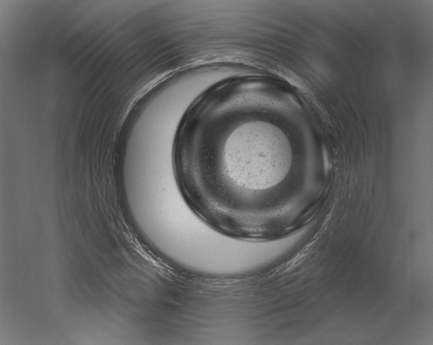 X0000052640826200507011344