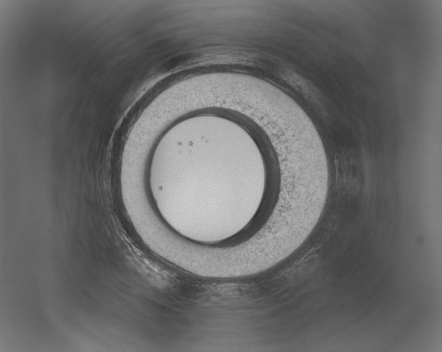 X0000052640828200507011344