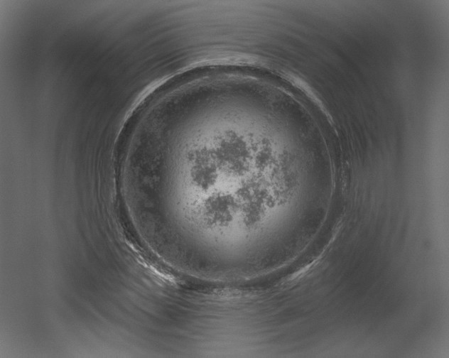 X0000052640829200507011344