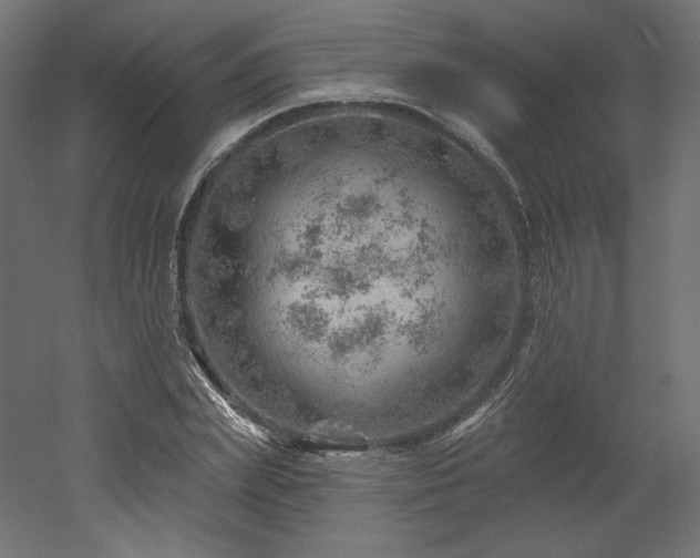 X0000052640831200507011344