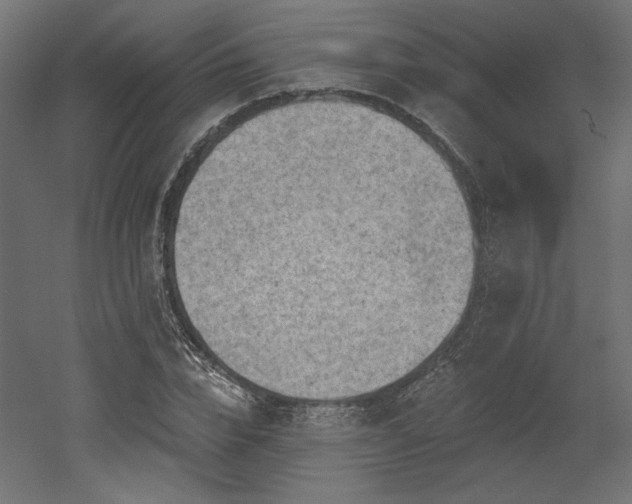 X0000052640832200507011344