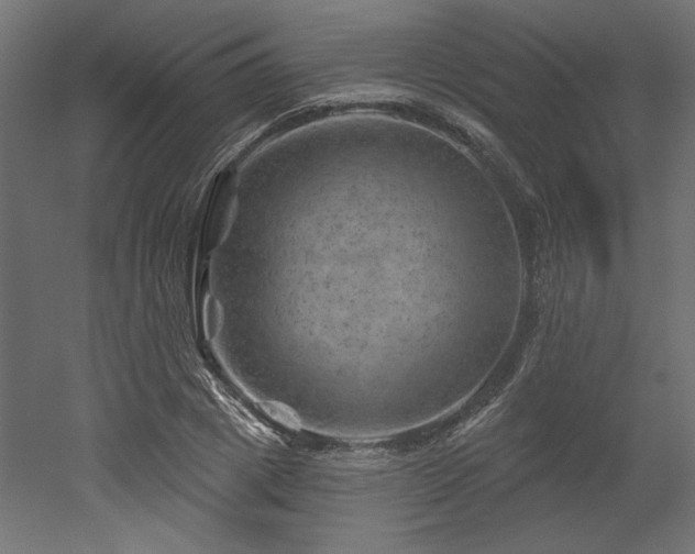 X0000052640833200507011344