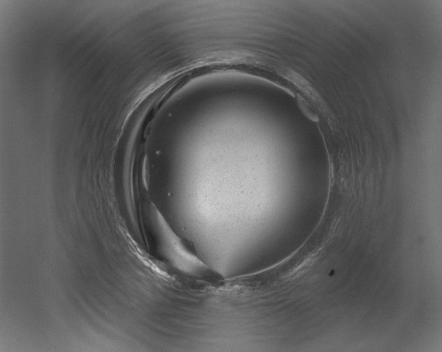 X0000052640834200507011344