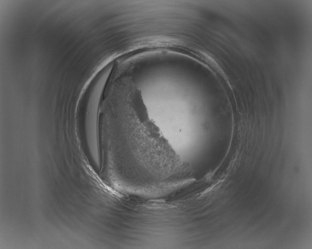 X0000052640835200507011344