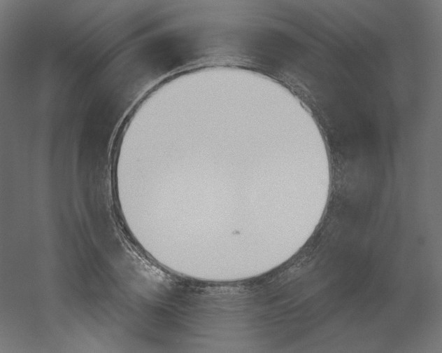 X0000052640836200507011344