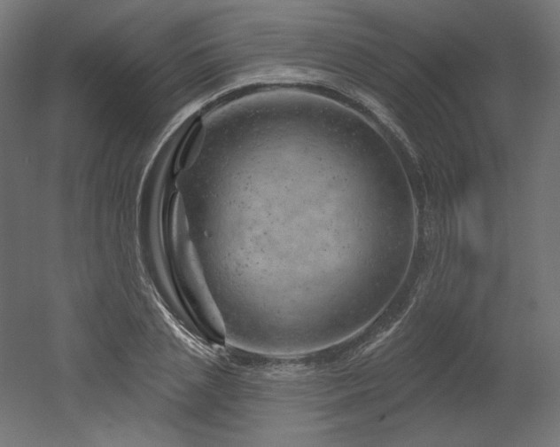 X0000052640837200507011344