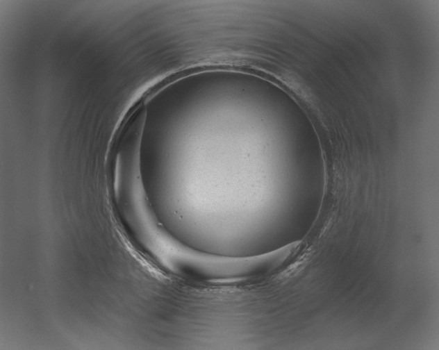 X0000052640838200507011344