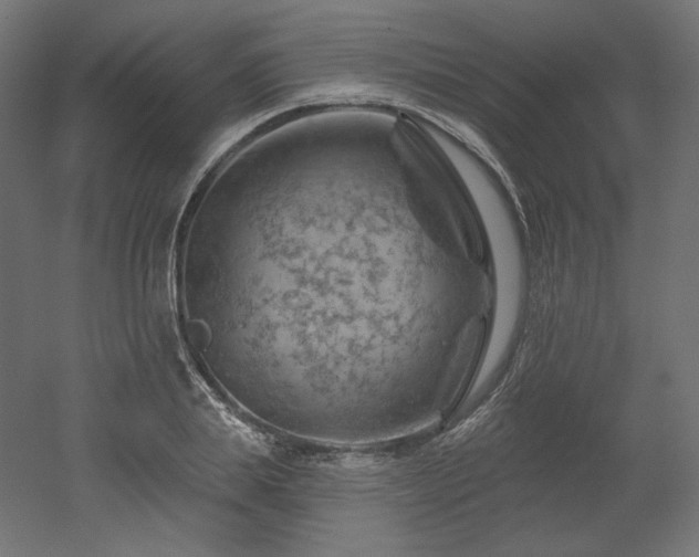 X0000052640839200507011344