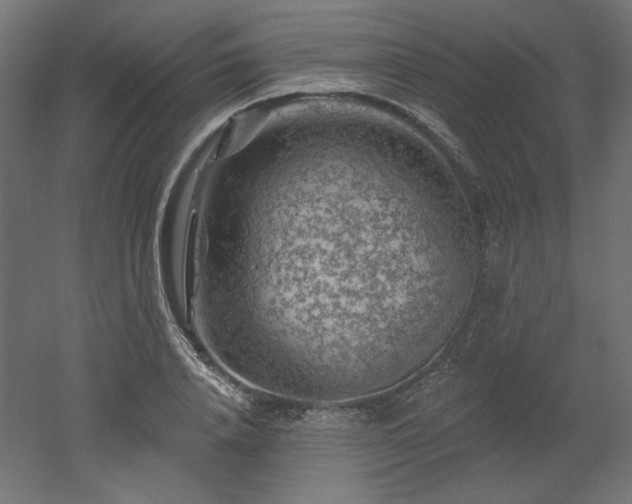 X0000052640840200507011344