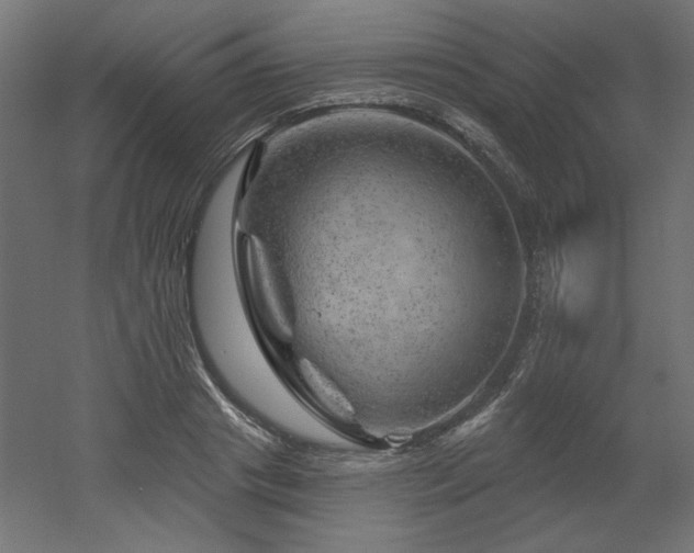 X0000052640841200507011344