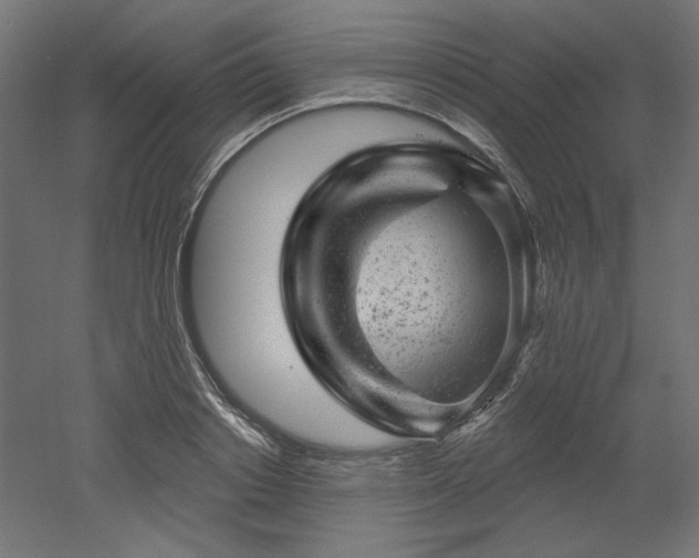 X0000052640842200507011344