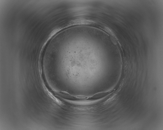 X0000052640843200507011344