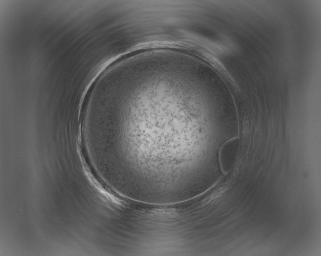 X0000052640844200507011344