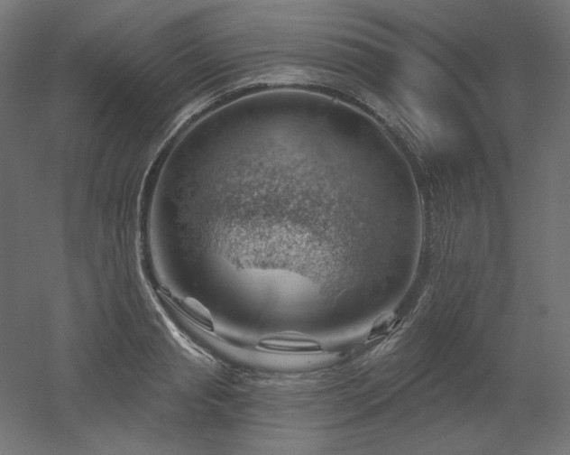 X0000052640845200507011344