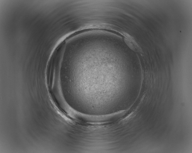 X0000052640846200507011344