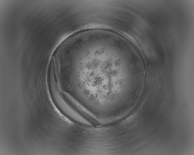 X0000052640847200507011344